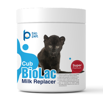 شیر خشک گربه‌سانان بزرگ بایو پت مدل CUB BioLac Super Premium وزن 400 گرم