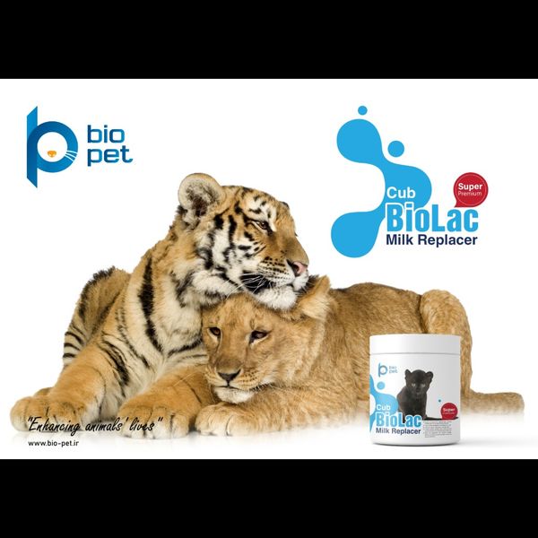 شیر خشک گربه‌سانان بزرگ بایو پت مدل CUB BioLac Super Premium وزن 400 گرم