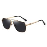 عینک آفتابی خلبانی (Aviator) مردانه آلبرت وگ مدل JS8531C02-P101 Polarized Avantgarde Visionary