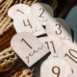 دیسک ماهگرد 12 عددی