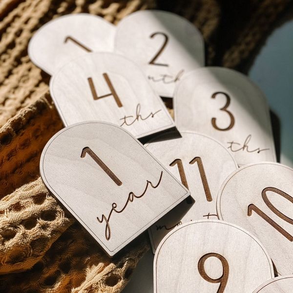 دیسک ماهگرد 12 عددی