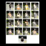 پلاگ فانتزی محافظ سوکت شارژ طرح سگ و گربه