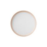 پیش دستی زی مدل فرم اس تخت کد 18 پاستل درجه عالی	بسته 6 عددی