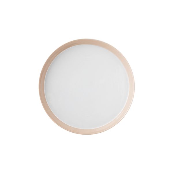 پیش دستی زی مدل فرم اس تخت کد 18 پاستل درجه عالی	بسته 6 عددی