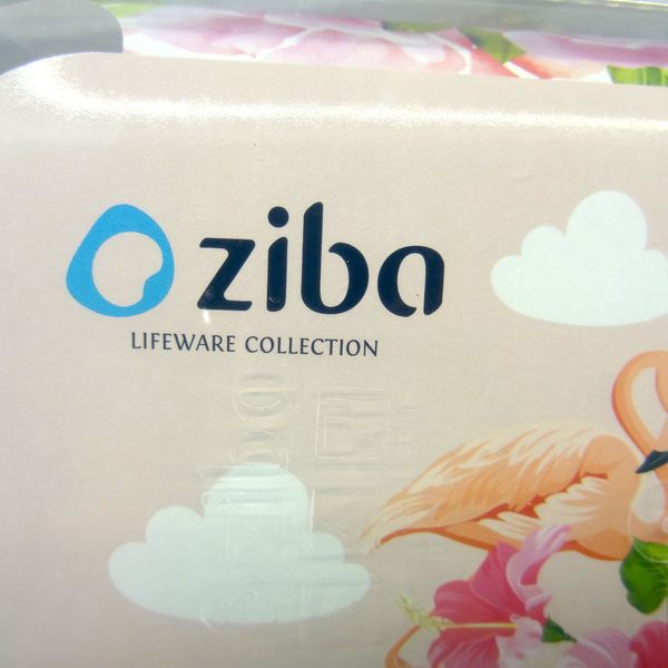 ظرف نگهدارنده زیبا سازان مدل R03 مجموعه 3 عددی