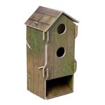 بازی فکری مدل Wingspan