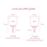 کاپ قاعدگی لیوا فارما مدل 01 سایز کوچک*99