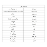 دمنوش مسی طرح چکشی