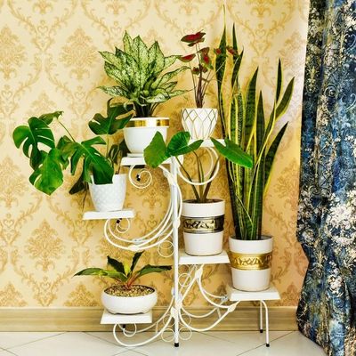 استند گلدان دکومرآت مدل نگار