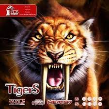 رویه راکت تایگرز (Tigers)
