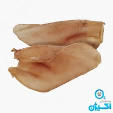 گوش گاو