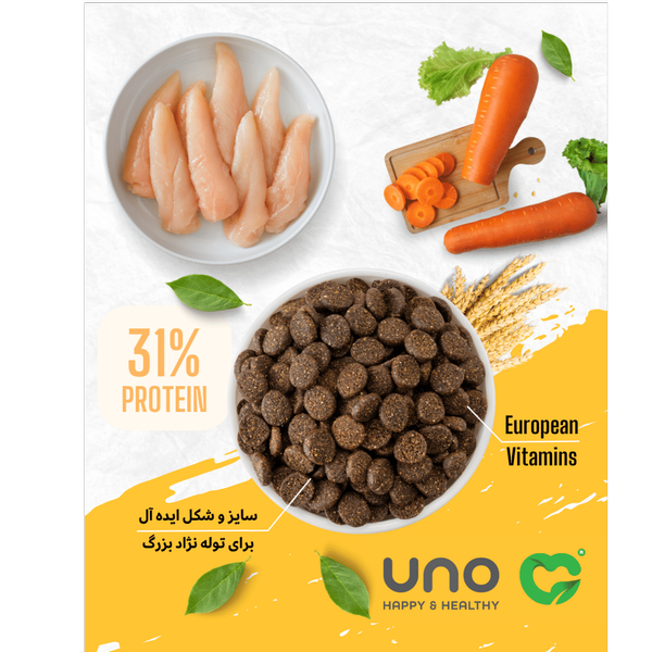 غذای خشک توله سگ اونو مناسب نژاد بزرگ / Uno large puppy dry food