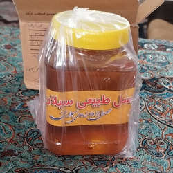 عسل طبیعی سبلان گون گز خام ارگانیک یک کیلویی