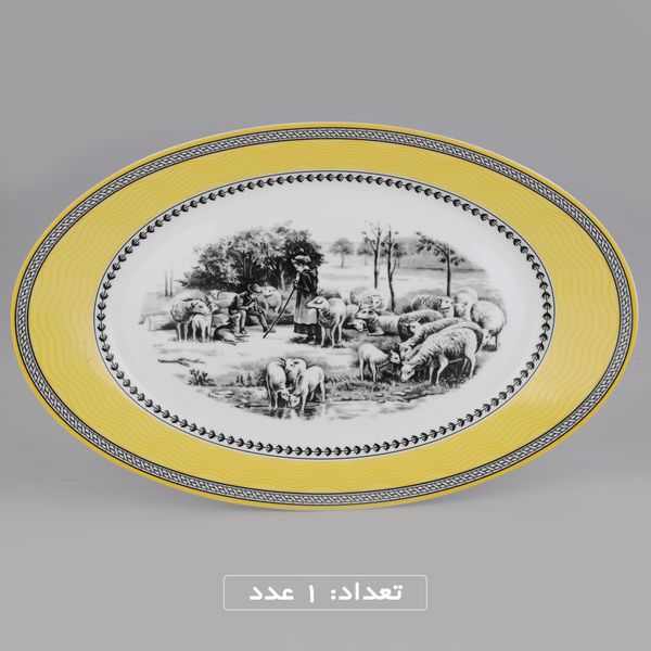 سرویس چینی 102 پارچه غذا خوری چینی زرین ایران سری ایتالیا اف مدل ویلیج درجه یک