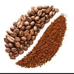 دان قهوه 30 عربیکا 70 روبستا