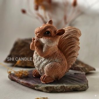 قالب سیلیکونی سنجاب