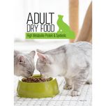 غذای خشک هالستیک گربه بایو پت مدل Adult Cat وزن 3.5 کیلوگرم