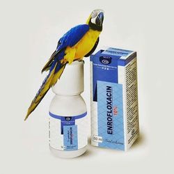 محلول انرو داروهای دامی حجم 50 میلی لیتر