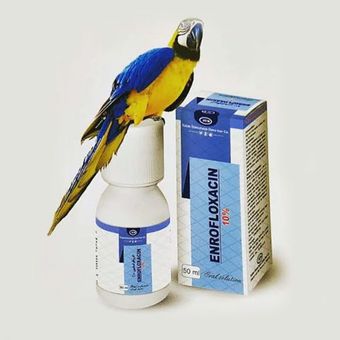 محلول انرو داروهای دامی حجم 50 میلی لیتر