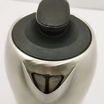 کتری برقی دلمونتی مدل DL425
