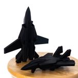 جنگنده F-14 تامکت بال متحرک کوچک