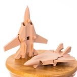 جنگنده F-14 تامکت بال متحرک کوچک