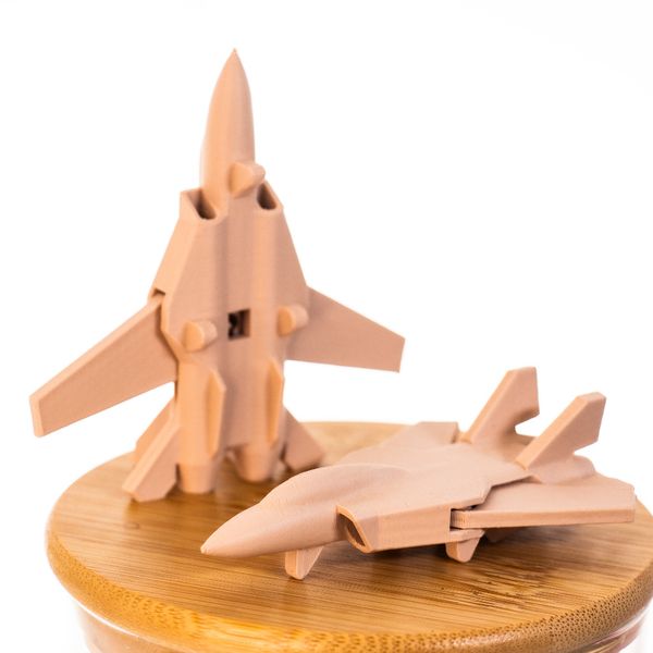 جنگنده F-14 تامکت بال متحرک کوچک
