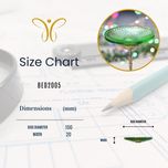 دیسک انرژی برندا بایوBED2005