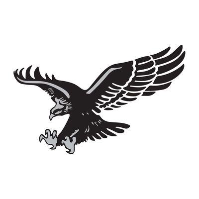 استیکر خودرو طرح عقاب کد 357