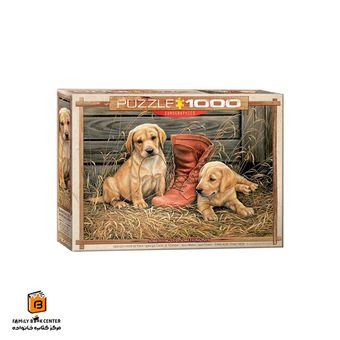 پازل 1000 تکه (6000-0795) Something Old Something New یوروگرافیکس (Euro ghraphics)