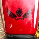 برچسب بدنه موتور مهدیار طرح بال مشکی کد SM201*380