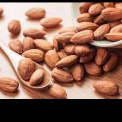 پلت بادام برای خروس و مرغ