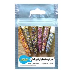 بذر ذرت رنگین کمانی فیستا منصوری گل کد Mcf40 وزن 6 گرم