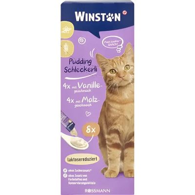 بستنی گربه‌ی وینستون با طعم مالت و وانیل / Winston cat ice-cream with malt and vanilla flavor