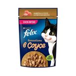 پوچ گربه ی بالغ فلیکس با طعم بوقلمون و بیکن در سس / Felix pouch wet cat food with turkey & bacon in sauce