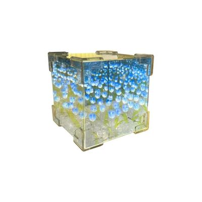 چراغ خواب دشت لاله بی نهایت