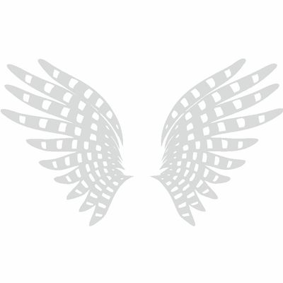 برچسب بدنه خودرو طرح بال کد SB100