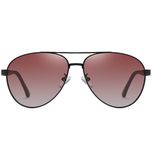 عینک آفتابی مردانه خلبانی آلبرت وگ مدل 6319C04-P141 Polarized Avantgarde Visionary