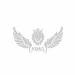 برچسب بدنه خودرو رادیانس طرح LionFly کد B35
