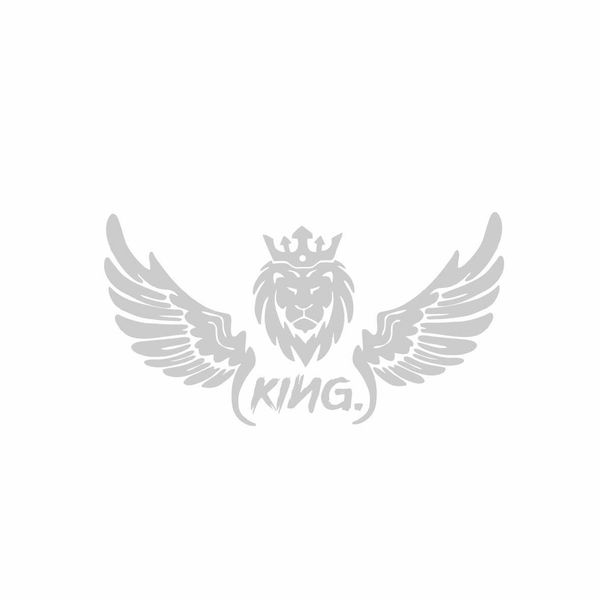برچسب بدنه خودرو رادیانس طرح LionFly کد B35