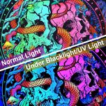 پوستر پارچه ای فیانی مدل بک دراپ بلک لایت کد F114