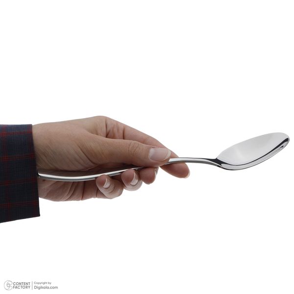 سرویس قاشق و چنگال 12 پارچه ام جی اس مدل 043