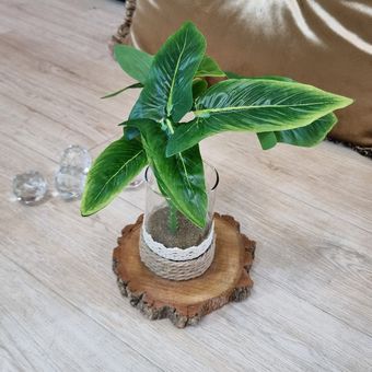 گل مصنوعی مدل بوته برگ مینی کالادیوم