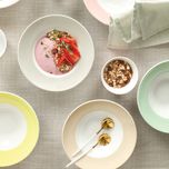 بشقاب غذاخوری زی مدل ظرف پاستا گود 18 تک نفره پاستل درجه عالی بسته شش عددی