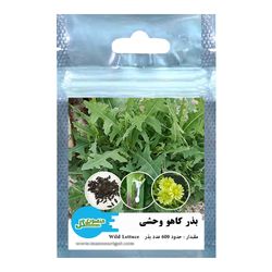 بذر کاهو وحشی منصوری گل کد Mwl600 وزن 1 گرم