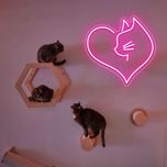 چراغ نئونی طرح قلب و گربه