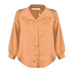 شومیز آستین بلند زنانه مدل MDSS-CH0395