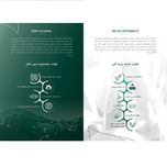 دهان شویه کامل دنتیلایت طعم موهیتو حجم 500 میلیلیتر حاوی پست بیوتیک