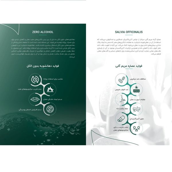 دهان شویه کامل دنتیلایت طعم لیمو حجم 500 میلی‌لیتر حاوی پست بیوتیک