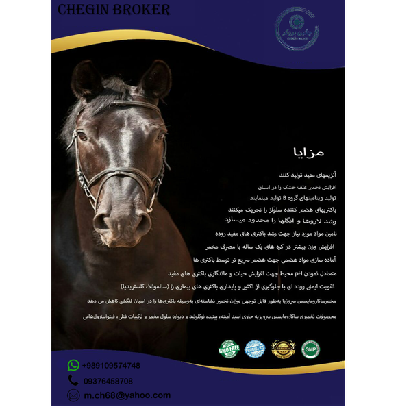 مکمل غذایی و دارویی اسب/Horse nutritional and medicinal supplement